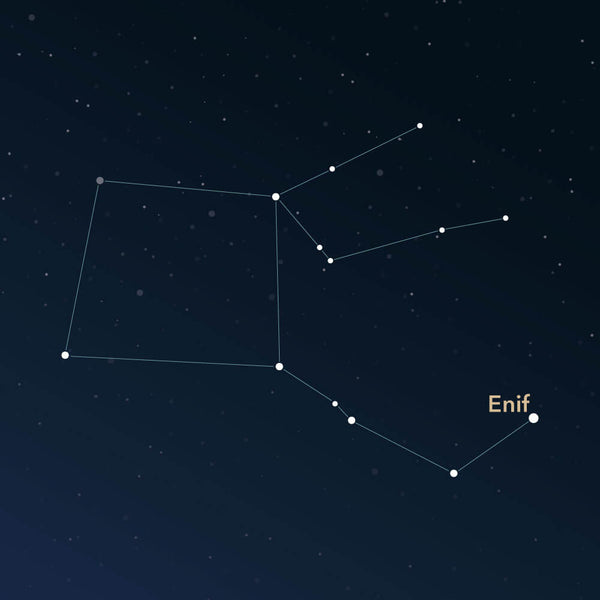 The constellation Pegasus