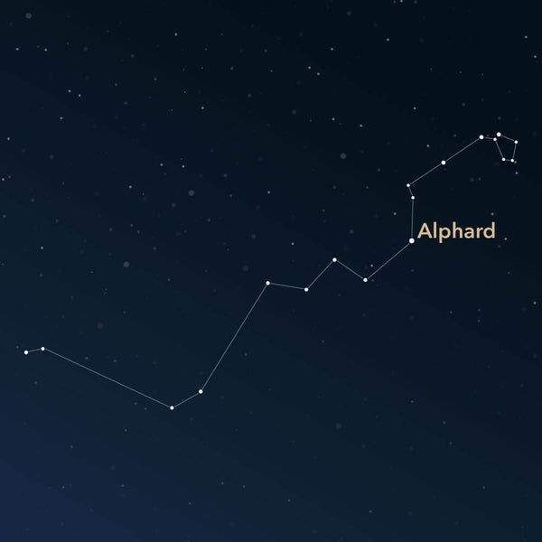 The constellation Hydra