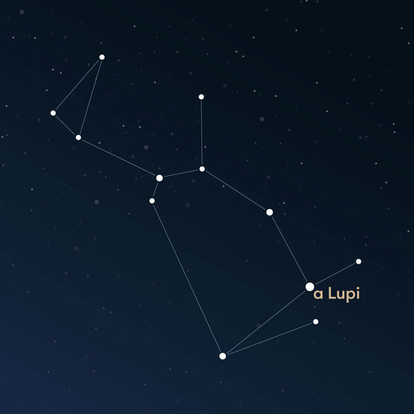 The constellation Lupus